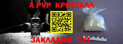 СК Новозыбков