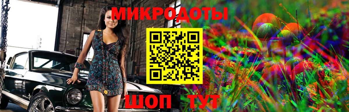 Хасавюрт  Псилоцибиновые грибы Psilocybine cubensis  Вход с VPN 